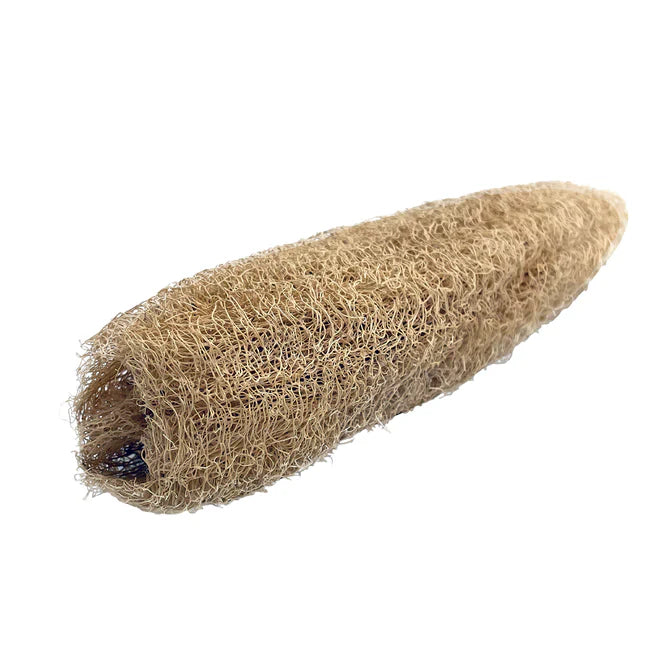 skincare luffa